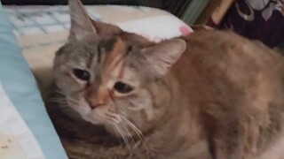 I'm happy to accompany you to sleep