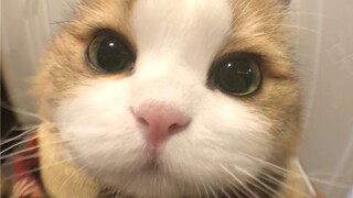 Sis, open the door—I'm right at your doorstep!