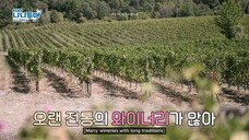 NTWS 2-4 (eng sub)