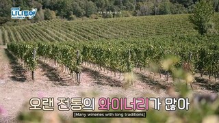 NTWS 2-4 (eng sub)