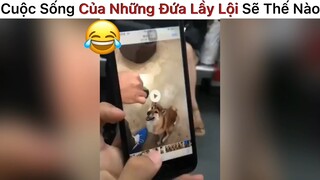 Cuộc sống của những đứa lầy lội sẽ như thế nào