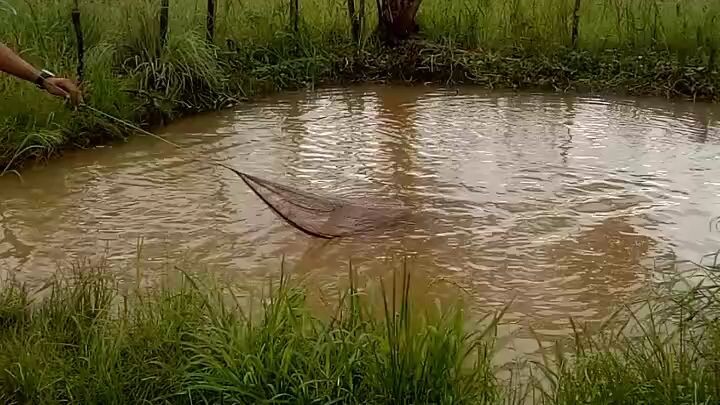 madali lang pala manghuli ng isda