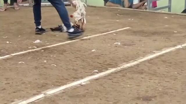 2nd entry, 1st fight talo na nanalo pa Win