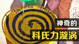 Why do the vortex directions in the northern and southern hemispheres differ? An interesting phenome