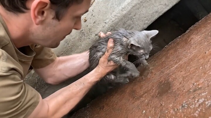 Bo Bichette Vladimir Guerrero Jr Born Ready T Shirt