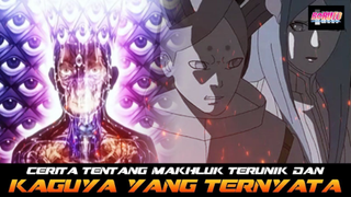 CERITA TENTANG MAKHLUK TERUNIK DI BORUTO DAN KAGUYA YANG TERNYATA BERKERJASAMA