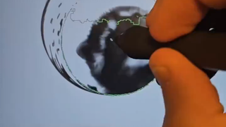 الفرشاة العصبية ⚡ تجعلني أضحك قليلاً!