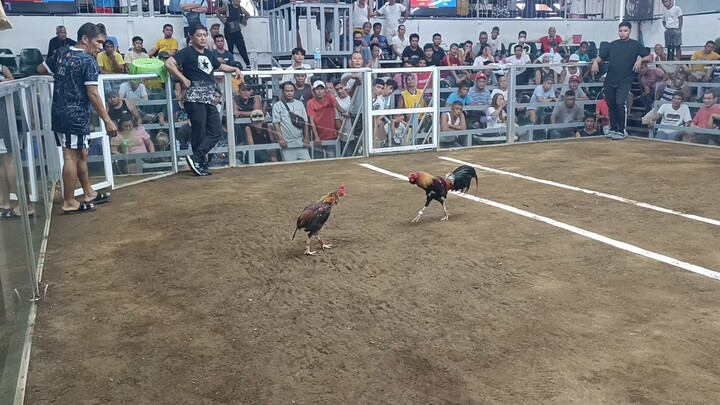 2nd fight buntot hipon tatarian plang dihado na agad hahahaha. ubos scientist