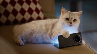 vivo's latest ad—I'd call it the pioneer of revolutionizing mobile phone advertising!!!!