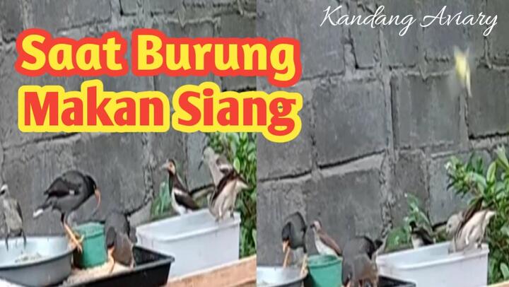 710 Gambar Patung Burung Ayam Ayaman Terbaik