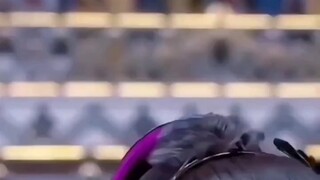 Big cat Zhu Zhuyun can move