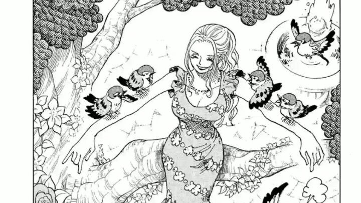 ONE PIECE chapter 1023 to 1026