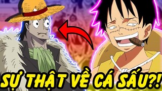 Crocodile Ở Dơ Nhất?! | Những Sự Thật Về Crocodile trong One Piece