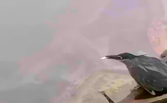 A little bird is waiting for a fish to bite.