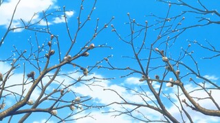 Non Non Biyori S3 Tập 11