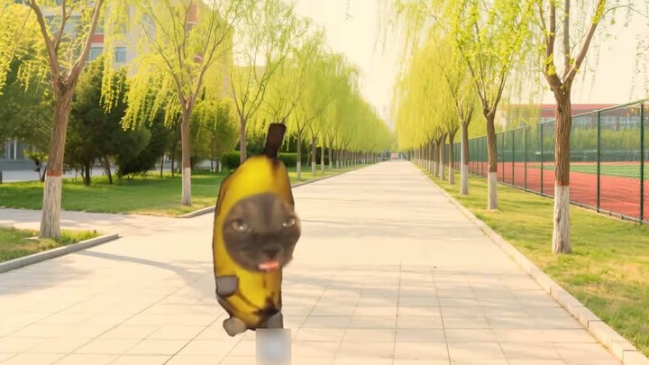 When schools don’t have air conditioning