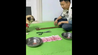เรื่องคิดเลขอ่ะเกรดหนึ่ง เรื่องคิดถึงอ่ะเกรดสี่