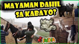 Libreng Horseback Riding sa India! // The Story Behind //  Filipino Indian Vlog