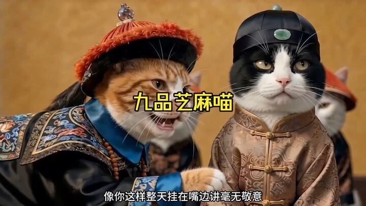 Cửu Phẩm Mèo Vừng