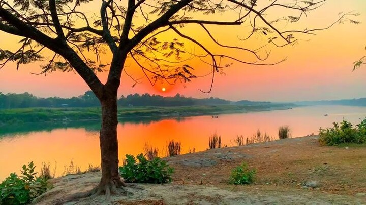 Nature
