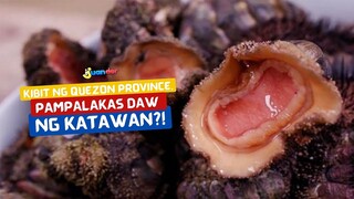 Kibit ng Quezon Province, pampalakas daw ng katawan?! | I Juander