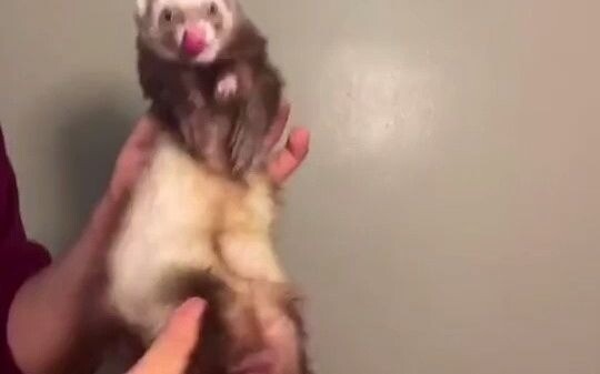 This little thing really knows how to twist and turn!