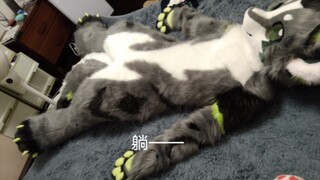 刚刚打碎次元壁的小龙