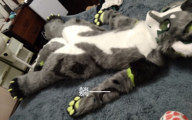 التنين الصغير الذي كسر جدار الأبعاد للتو