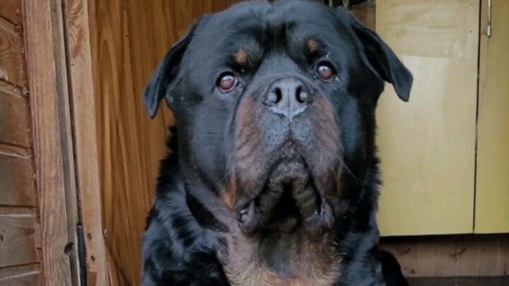 Вечер трудного дня