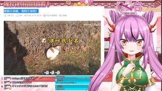 【乙女音】看猫不是猫看狗不是狗 看到后面连动物都不是了