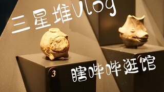 【لينغ يوان VLOG】متحف سانشينغدوي، لن تندم إذا جئت للزيارة، تعال ونستكشفه معًا!