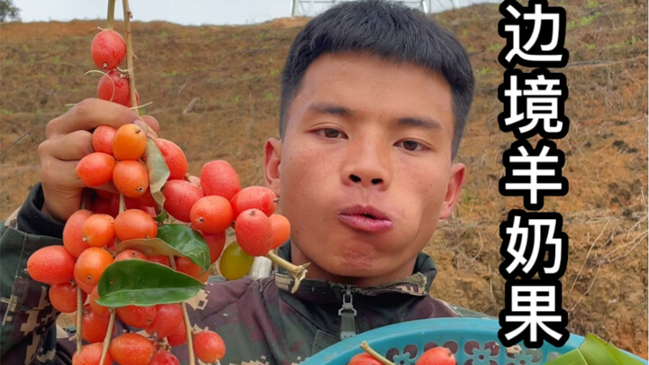Goat Milk Fruit