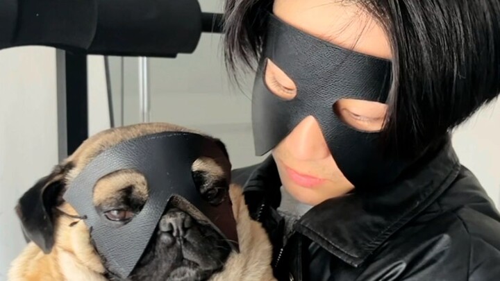 ♂My dog has to be different from other dogs♂