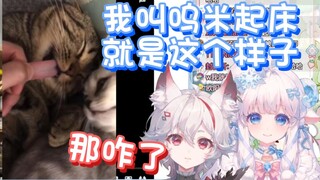 【MeUmy】呜米：这猫睡得跟似了一样！咩咩：那不呜米喵吗