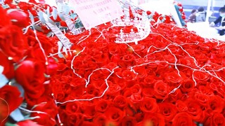 [Xiao Zhan] A Dream Like a Dream Wuhan Live Record - Part 2 | Give you a sea of flowers and stars | 