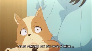 Inukai punya trauma kehilangan hewan, jadi Pochita muncul sebagai penyembuhnya