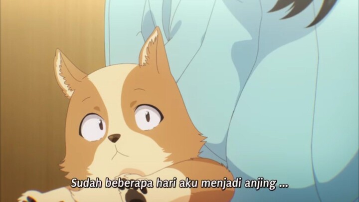 Inukai punya trauma kehilangan hewan, jadi Pochita muncul sebagai penyembuhnya