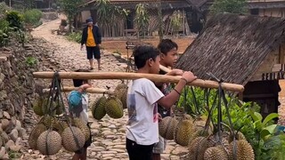 nuju musim belah duren 😁