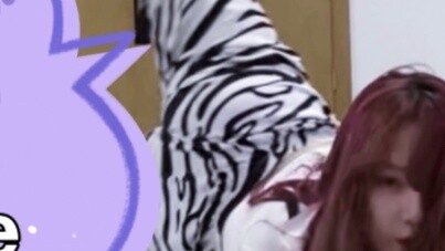 Apakah tantangan di TikTok begitu gila? ｜Koreografer Zhaoo Puti keluar untuk dipukuli