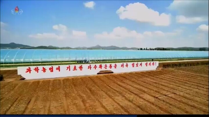 Introduzido novo método de cultivo de trigo e cevada