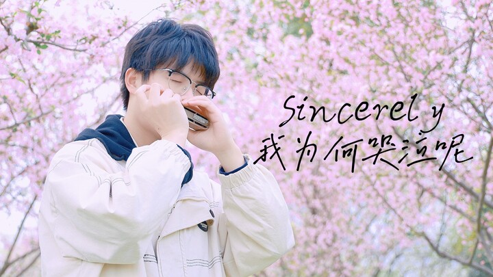 泪目预警！口琴催泪演奏Sincerely 紫罗兰永恒花园