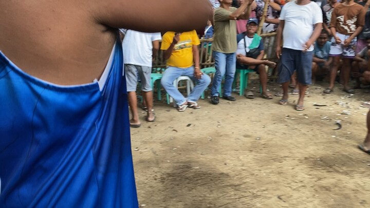 Fiesta serye 4th fight Win, bulik ng Tropa 👍