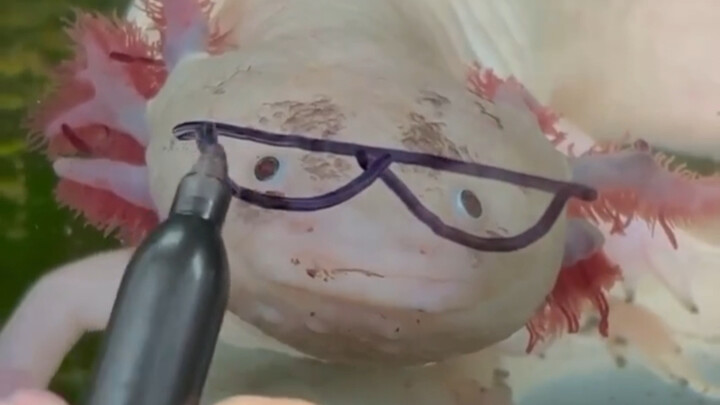 “Chia sẻ với bạn ngay giây phút thú vị nhất”