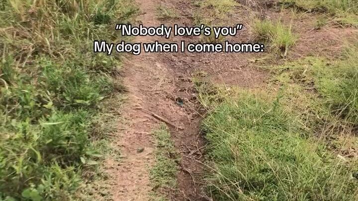 me when I come home 🏠