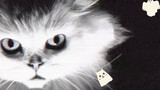 [สัตว์]การแสดงของแมวในภาพยนตร์ของโจวซิงฉือ:<Out of the dark>