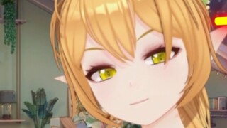 แพนด้า? แมวป่า? คสช.ถ่อมตัวจริงๆ!