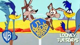 Looney Tuesdays | Coyote Will Never Give Up | Looney Tunes | WB Kids