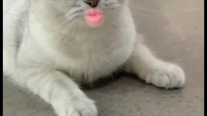 I messed up the video quality today [facepalm], and I also cut a few clips incorrectly.