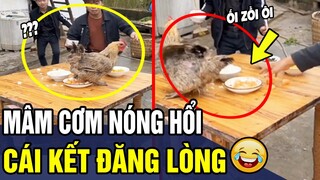 Tổng Hợp Tình Huống HÀI ĐỘNG VẬT Đảm Bảo KHÔNG CƯỜI KHÔNG LẤY TIỀN P125 | Trùm Tin Hài