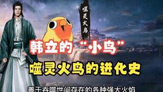 韩立的“小鸟”，噬灵火鸟的进化史